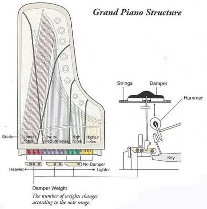 TECHNICS P50 GRAND PIANO STRUCTURE.png