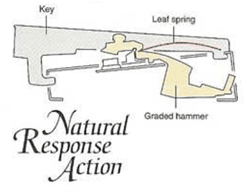 TECHNICS P50 NATURAL RESPONSE ACTION.png