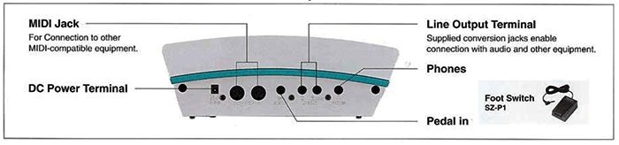 TECHNICS P50 PIANO INPUTS AND OUTPUTS.png